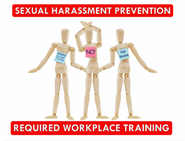 Sexual Harassment Class – Virtual Class "On Demand"